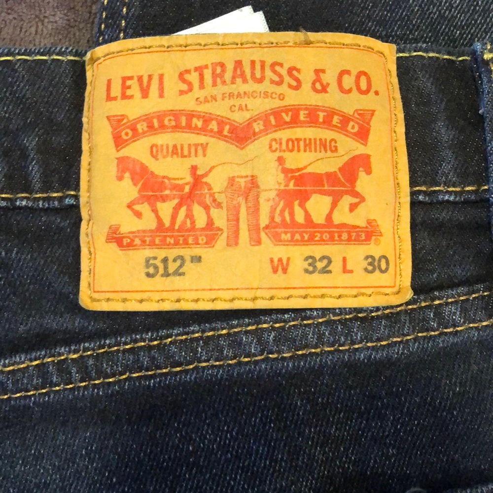 Levi - Picture 2 of 3